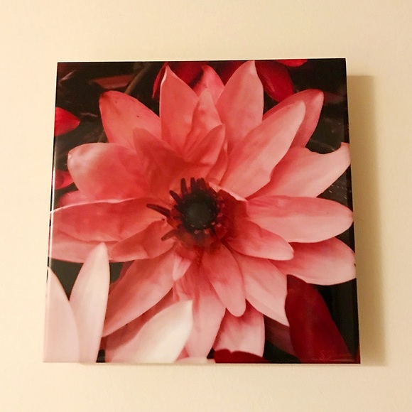 Water Lily Original Photo Art on Ceramic - Picture 3 of 6